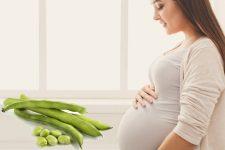 تفسير رؤية الفول في المنام للحامل