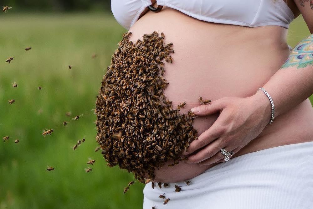 تفسير رؤية النحل في المنام للحامل