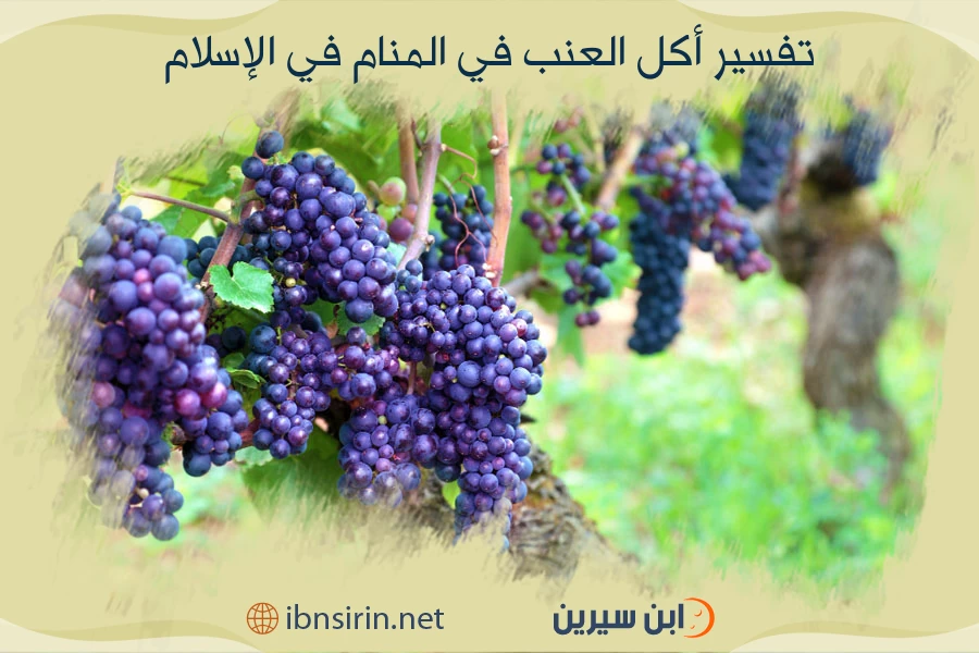 تفسير أكل العنب في المنام في الإسلام
